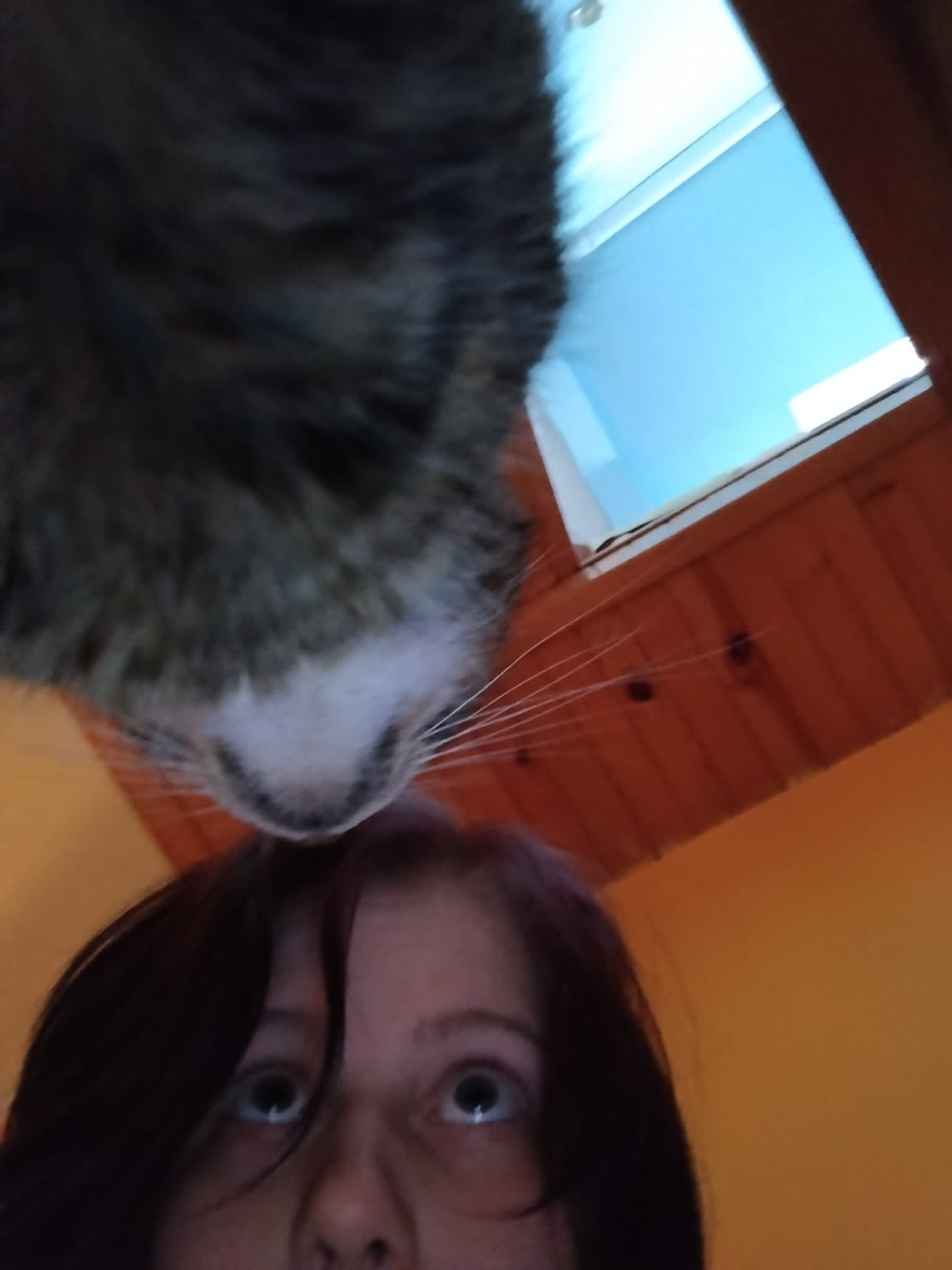 patrzę kotu prosto w oczy